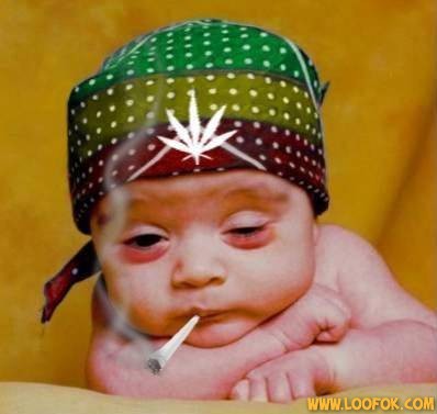 ha ha ha ha quel drle de bb